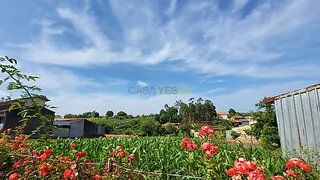 Land for sale in Albergaria-a-Velha, Portugal — €50,000