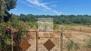Land for sale in Coruche, Portugal — €26,000