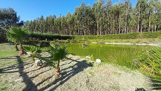 Land for sale in Tomar, Portugal — €350,000