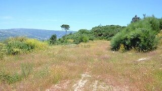 Land for sale in Aveiro, Portugal — €1,250,000