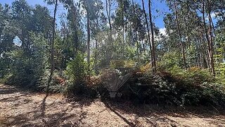 Land for sale in Leiria, Portugal — €18,000