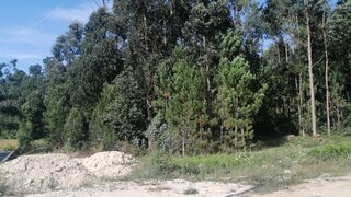 Land for sale in Santa Maria da Feira, Portugal — €100,000
