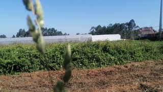 Land for sale in Santa Maria da Feira, Portugal — €504,000