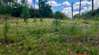 Land for sale in Paredes, Portugal — €50,000