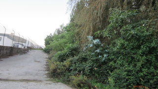 Land for sale in Santa Maria da Feira, Portugal — €650,000
