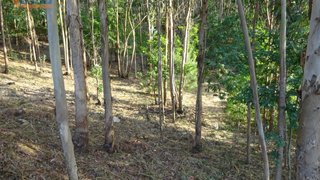 Terreno em Vila Nova de Gaia · 2200 m² · 100 000 €