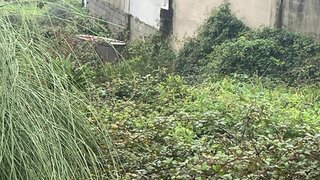 Land for sale in Gondomar, Portugal — €85,000