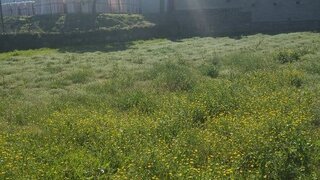 Land for sale in Esposende, Portugal — €60,000