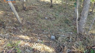 Land for sale in Vila Nova de Gaia, Portugal — €100,000