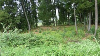 Land for sale in Vila Nova de Gaia, Portugal — €750,000