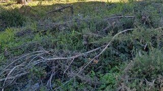 Land for sale in Gondomar, Portugal — €150,000