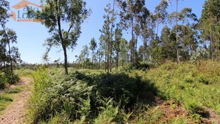 Land for sale in Vila Nova de Gaia, Portugal — €196,000