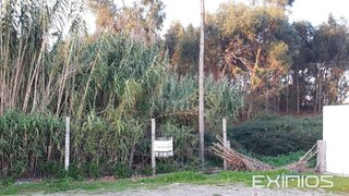 Terreno em Póvoa de Varzim · 11 000 m² · 450 000 €