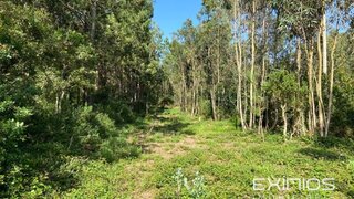 Terreno · 3000 m² · 129 000 €