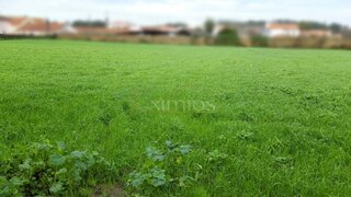 Land for sale in Vila do Conde, Portugal — €640,000