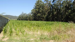 Land for sale in Póvoa de Varzim, Portugal — €700,000