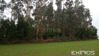 Terreno em Vila do Conde · 30 050 m² · 800 000 €
