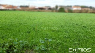 Terreno em Vila do Conde · 5345 m² · 640 000 €