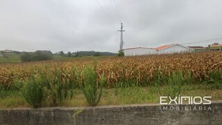 Terreno em Vila do Conde · 2500 m² · 165 000 €