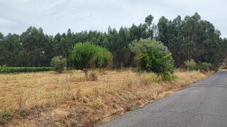 Land for sale in Almeirim, Portugal — €37,500