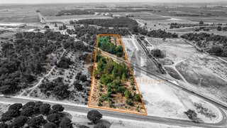 Land for sale in Almeirim, Portugal — €449,500