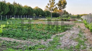 Land for sale in Almeirim, Portugal — €115,000