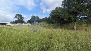 Land for sale in Óbidos, Portugal — €195,000