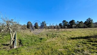 Land for sale in Mangualde, Portugal — €40,000