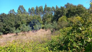 Land for sale in Ferreira do Zêzere, Portugal — €12,500