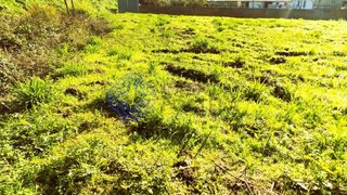 Land for sale in Santa Maria da Feira, Portugal — €40,000