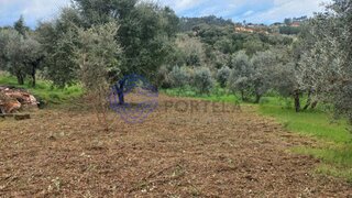 Land for sale in Tomar, Portugal — €19,500