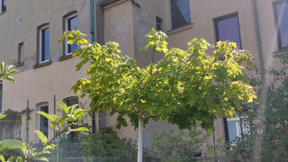 casafari-bild