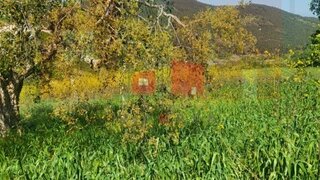 Land for sale in Mafra, Portugal — €44,175