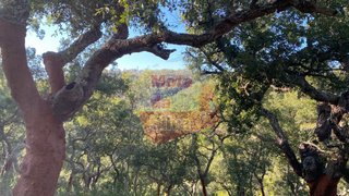 Land for sale in Santiago do Cacém, Portugal — €120,000