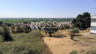 Land for sale in Coruche, Portugal — €470,000