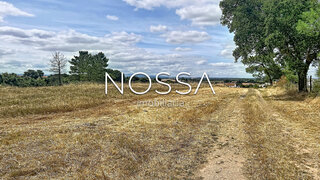 Land for sale in Benavente, Portugal — €85,000