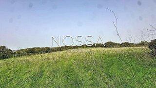 Land for sale in Sintra, Portugal — €50,000