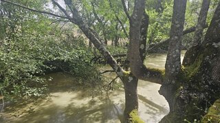 Terreno de 1775 m² em Castelo Branco