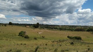 Terreno de 30 370 m² em Castelo Branco
