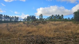 Terreno de 7500 m² em Castelo Branco
