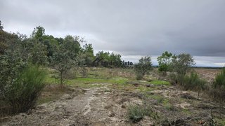 Terreno de 7500 m² em Castelo Branco