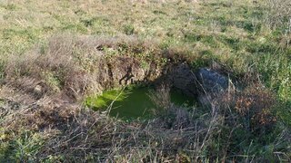Terreno de 5760 m² em Castelo Branco