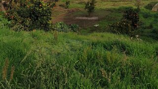 Terreno de 620 m² em Castelo Branco