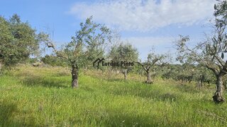 Land for sale in Fundão, Portugal — €6,000