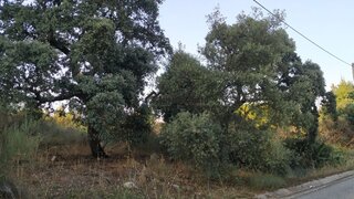 Terreno de 640 m² em Castelo Branco