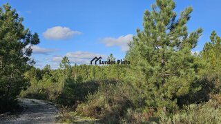 Land for sale in Vila Velha de Ródão, Portugal — €15,000