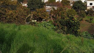 Terreno de 770 m² em Castelo Branco