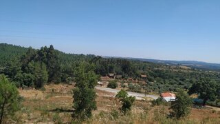 Terreno de 20 600 m² em Castelo Branco