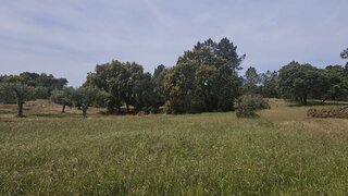 Terreno de 2800 m² em Castelo Branco