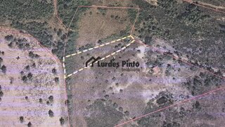 Terreno de 1000 m² em Castelo Branco